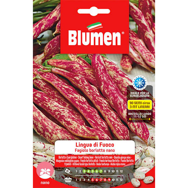 Semi Di Fagiolo Rampicante Borlotto Lingua Di Fuoco - Confezione Da 100g (circa 200 Semi), Per Orto E Giardino - Foto 14