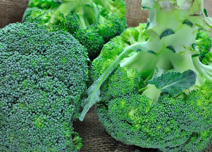 Cavolo broccolo, caratteristiche e proprietà nutrizionali