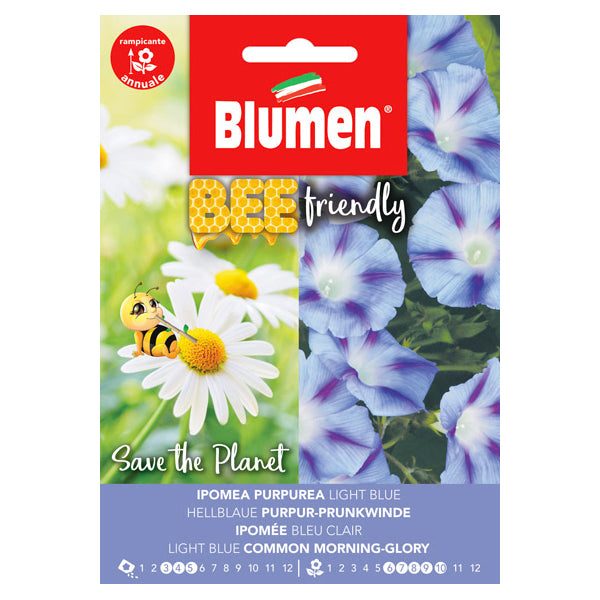 Bee Friendly Ipomea Purpurea Light Blue