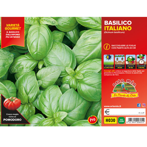 Etichetta tecnica Orto Mio della piantina di basilico italiano genovese che ne certifica la varietà professionale.