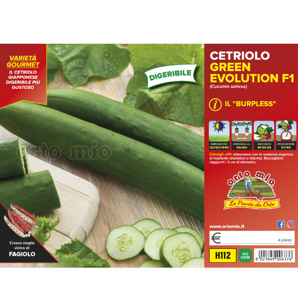 Etichetta tecnica Orto Mio della piantina di Cetriolo Burpless digeribile Green Evolution F1 che ne certifica la varietà professionale.