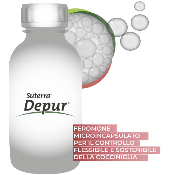 Confezione Depur® Suterra da 450 ml, feromone liquido microincapsulato in sospensione di capsule (CS) per il controllo biologico della cocciniglia farinosa della vite