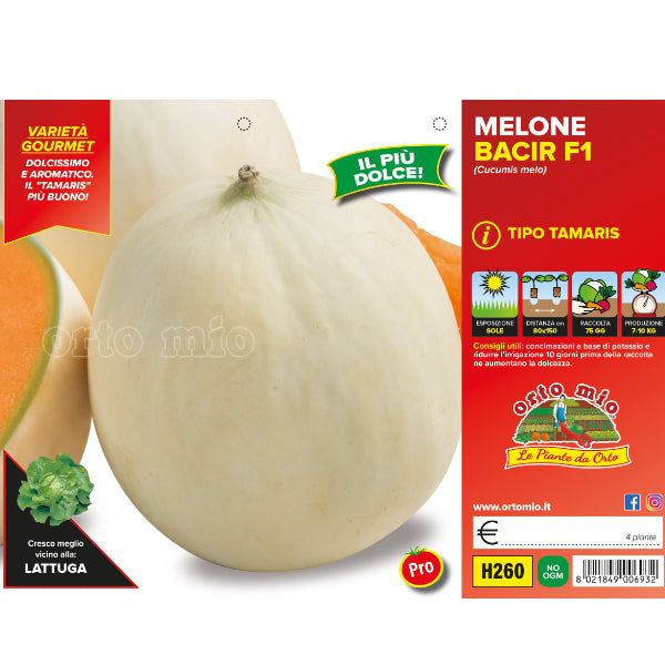 Etichetta tecnica Orto Mio della piantina di Melone tipo Tamaris Bacir F1 che ne certifica la varietà professionale.