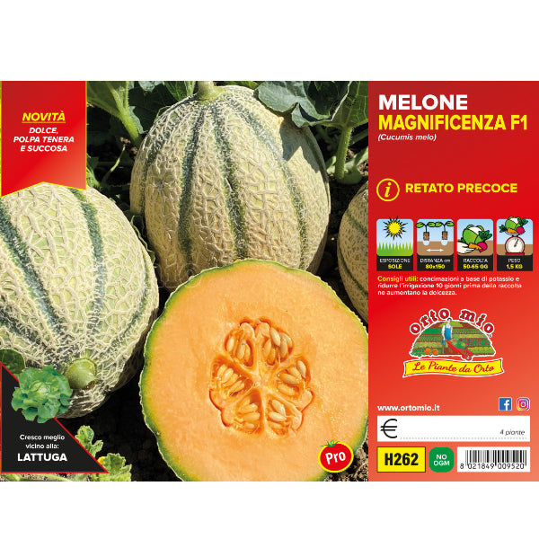 Melone Retato con fetta Solero F1