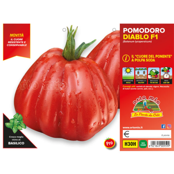 Etichetta tecnica Orto Mio della piantina di Pomodoro cuore di bue Diablo F1 che ne certifica la varietà professionale.