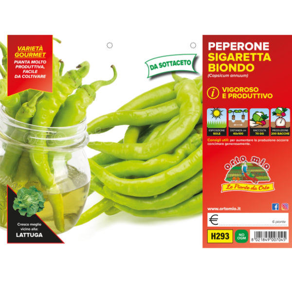 Etichetta tecnica Orto Mio della piantina di Peperone Sigaretta Biondo che ne certifica la varietà professionale.