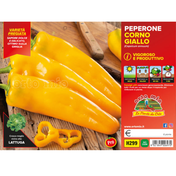 Etichetta tecnica Orto Mio della piantina di Peperone corno giallo Libeccio F1 che ne certifica la varietà professionale.