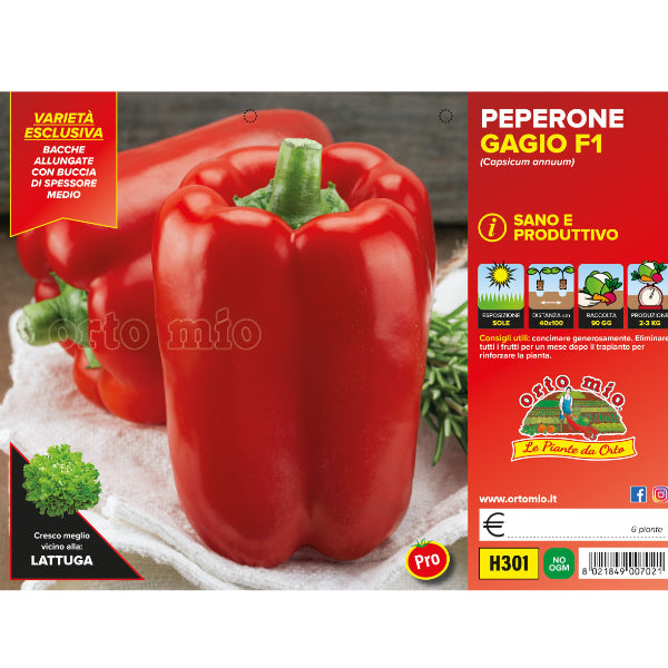 Etichetta tecnica Orto Mio della piantina di Peperone quadrato rosso Gagio F1 che ne certifica la varietà professionale.