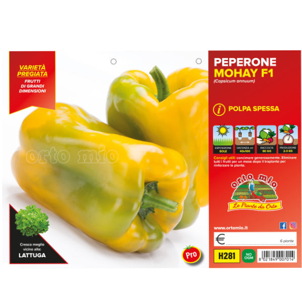 Etichetta tecnica Orto Mio della piantina di Peperone quadrato giallo Mohay F1 che ne certifica la varietà professionale.