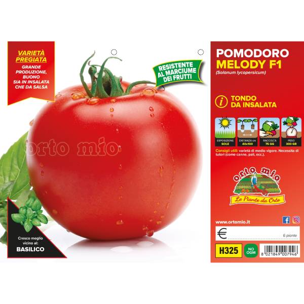 Etichetta tecnica Orto Mio della piantina di Pomodoro Melody F1 che ne certifica la varietà professionale.