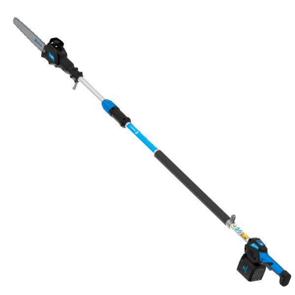 Potatore elettrico su asta telescopica Campagnola T-REX 160-240 con barra da 8 pollici e batteria plug-in.