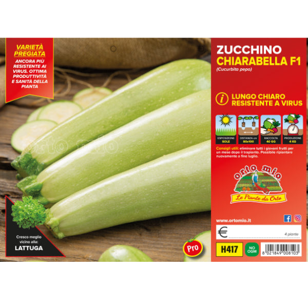 Etichetta tecnica Orto Mio della piantina di Zucchino bianco Chiarabella F1 che ne certifica la varietà professionale.