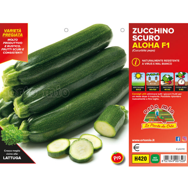 Etichetta tecnica Orto Mio della piantina di Zucchino scuro Aloha F1 che ne certifica la varietà professionale.