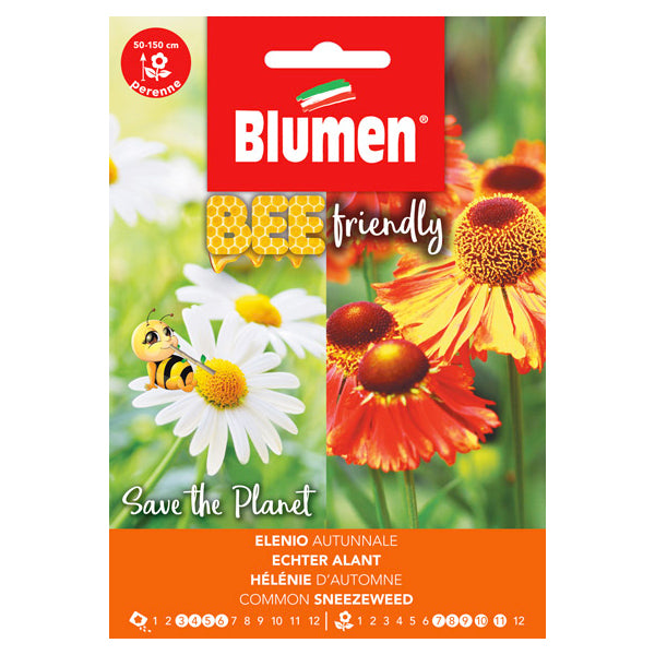 Bee Friendly Helenium Autumnale