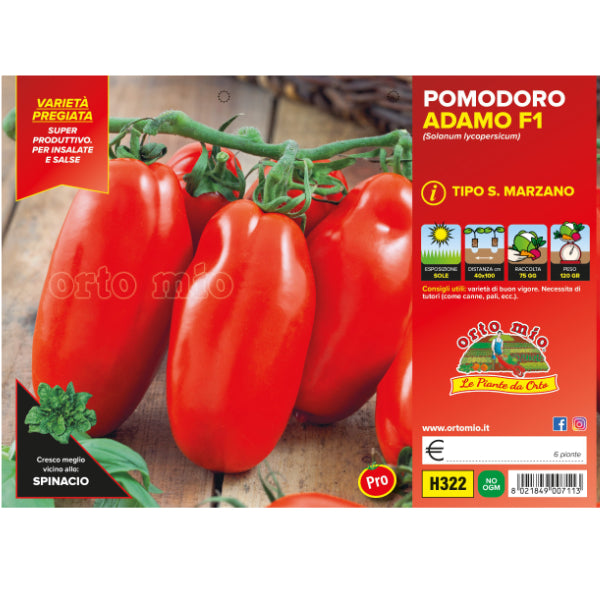 Etichetta tecnica Orto Mio della piantina di Pomodoro San Marzano Adamo F1  che ne certifica la varietà professionale.