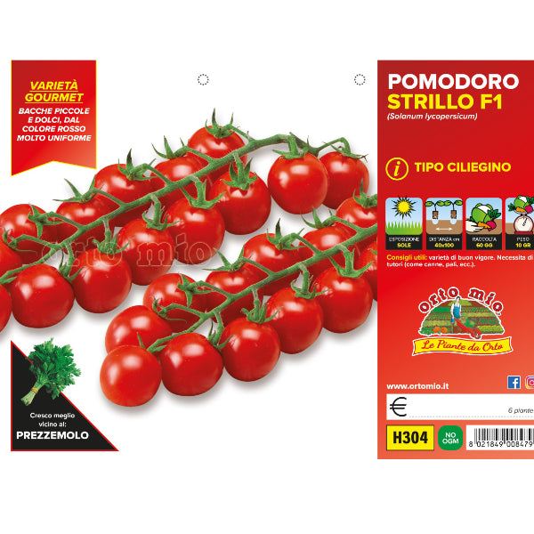Etichetta tecnica Orto Mio della piantina di Pomodoro ciliegino Strillo F1 che ne certifica la varietà professionale.