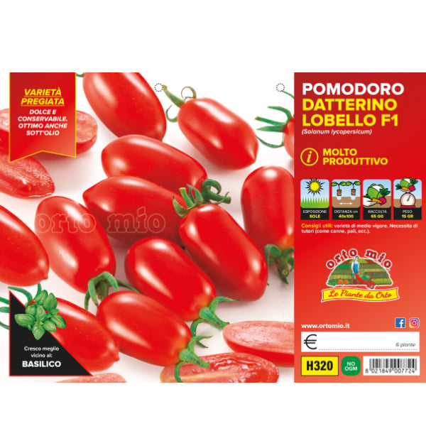 Etichetta tecnica Orto Mio della piantina di Pomodoro datterino Lobello F1  che ne certifica la varietà professionale.
