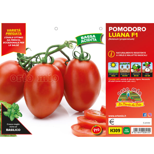 Etichetta tecnica Orto Mio della piantina di Pomodoro Ovale Luana F1  che ne certifica la varietà professionale.