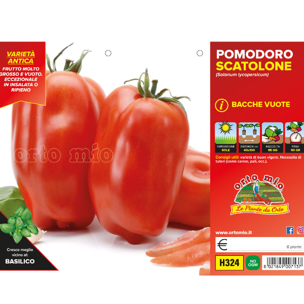 Etichetta tecnica Orto Mio della piantina di Pomodoro San Marzano Scatolone che ne certifica la varietà professionale.
