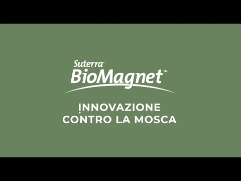 Video esplicativo sul funzionamento di BioMagnet ORO Suterra, trappola attract and kill biologica contro la mosca dell'olivo, disponibile su Sala Laurus.