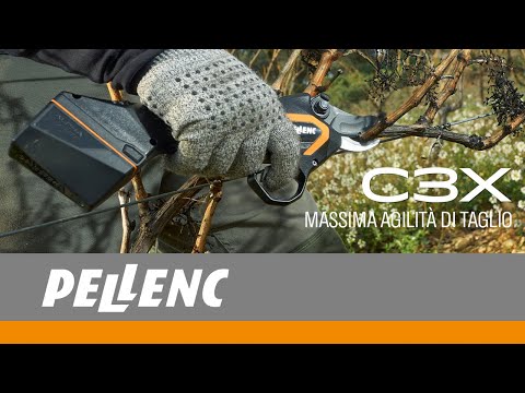 Video ufficiale Pellenc C3X: forbice elettrica con batteria integrata per potare vigneti, frutteti, oliveti e spazi verdi con libertà di movimento. Pellenc, partner tecnico Sala Laurus.