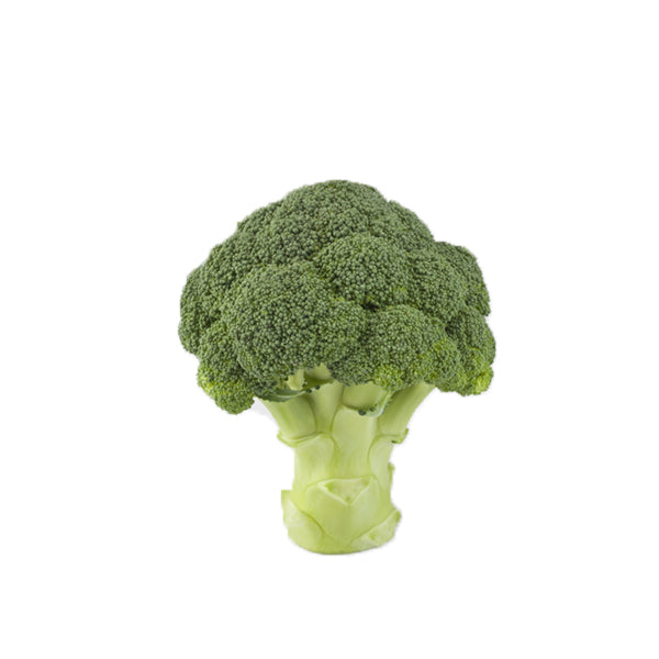 Cavolo broccolo Principe F1