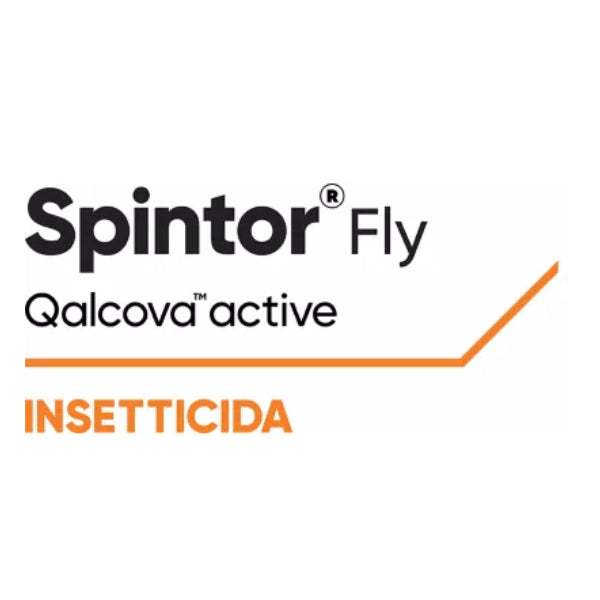 Spintor Fly