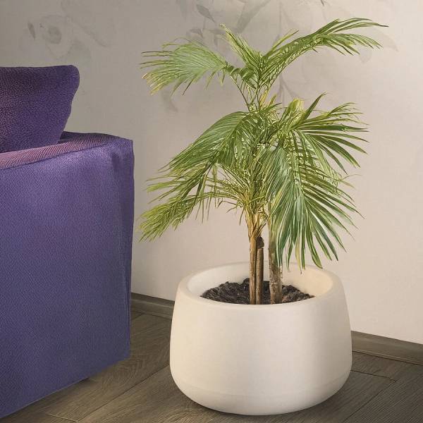 Vaso moderno tronco-conico Titano di 21st GardenArt in resina bianco per grandi piante.