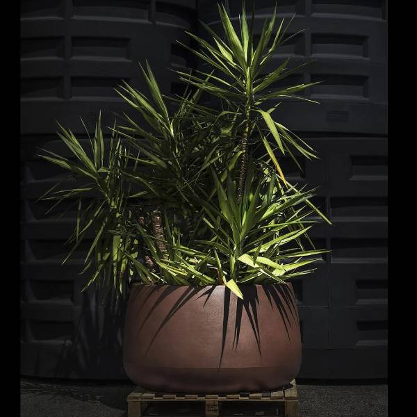 Vaso moderno tronco-conico Titano di 21st GardenArt in resina bronzo antico per grandi piante.