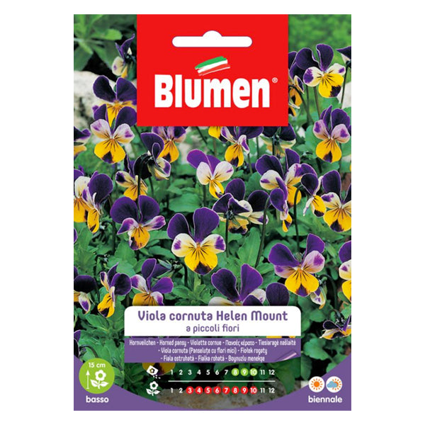 Semi Viola Cornuta Helen Mount a piccoli fiori