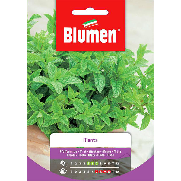 Blumen Semi aromatici: Semi di Menta in vendita online