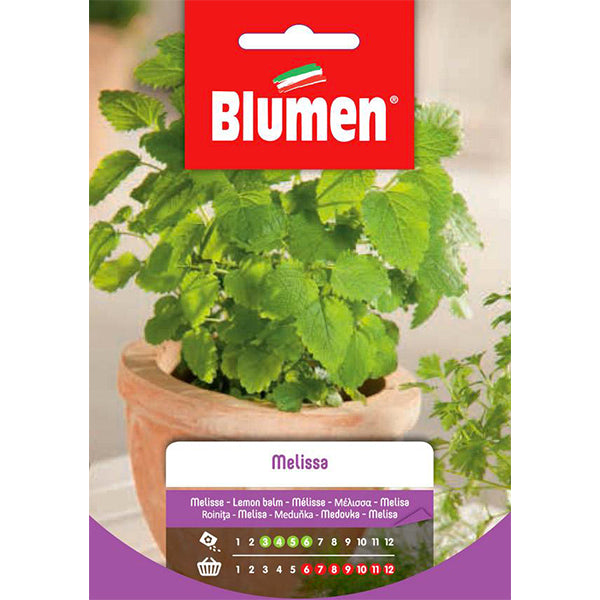 Blumen Sementi Pianta Aromatica: Semi Melissa in vendita online