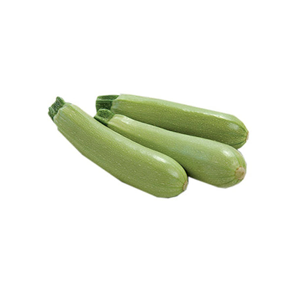 Zucchino Amalthèe F1