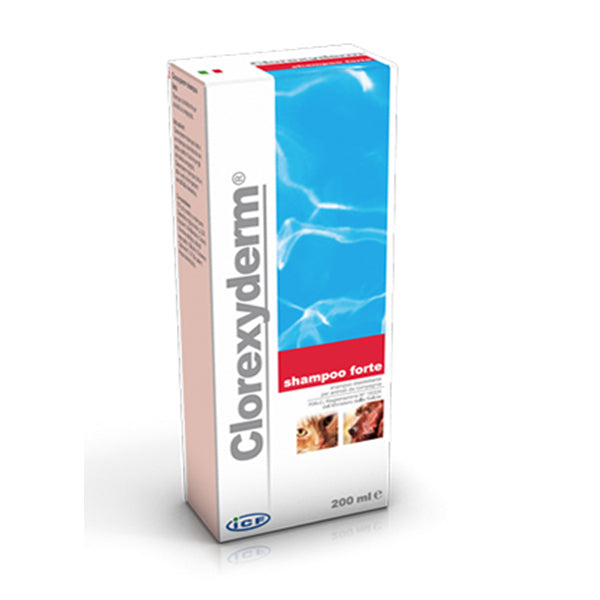 Clorexyderm Shampoo forte