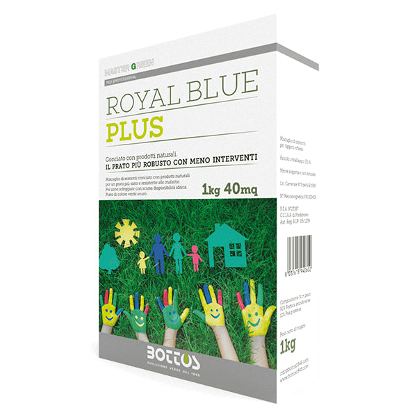 Master Green - Semi Royal Blue Plus