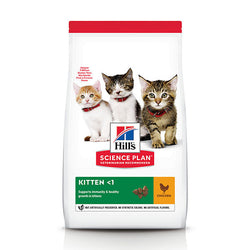 Hill's Science Plan Kitten Pollo: cibo secco per gattini